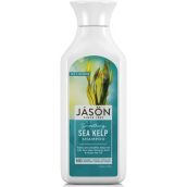 Jason Natural Cosmetics Sea Kelp Organic Shampoo - 473ml