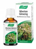A Vogel Siberian Ginseng (Eleutherococcus)
