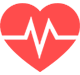 Heart Circulation & Cholesterol